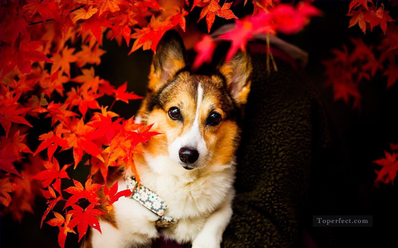 Dog behind Red Maple Leaves Painting from Photos to Art Oil Paintings